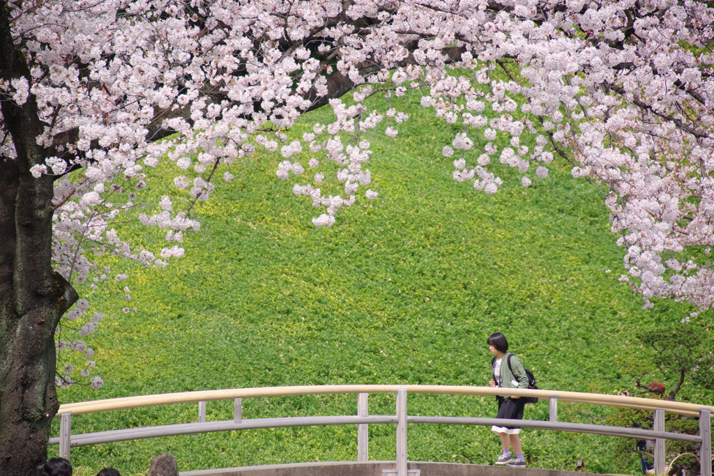 春を行く
