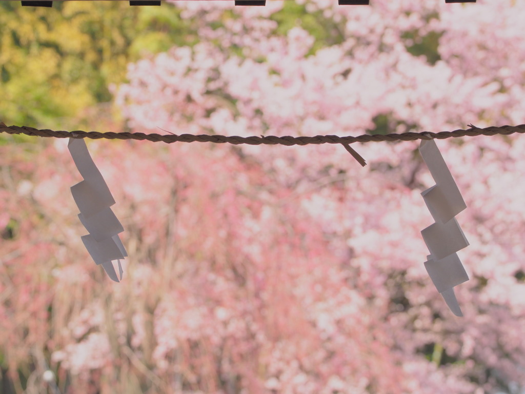 清麗