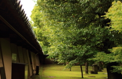 Wall