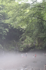 RAIN FOREST（陣馬の滝）1 