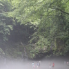 RAIN FOREST（陣馬の滝）1 