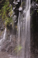 RAIN FOREST（陣馬の滝）5