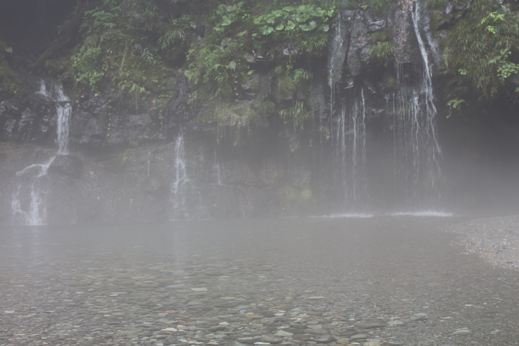 RAIN FOREST（陣馬の滝）4