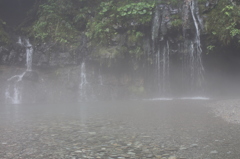 RAIN FOREST（陣馬の滝）4