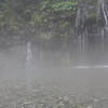 RAIN FOREST（陣馬の滝）4