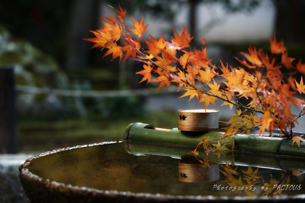 秋鏡