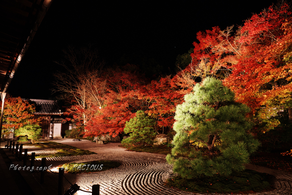 方丈前庭 ～秋夜～