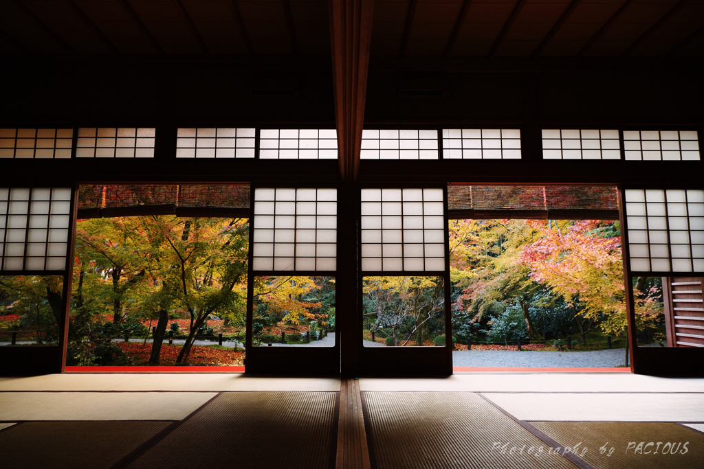 それぞれ魅せる秋景色