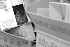 我が家