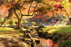 秋の庭園