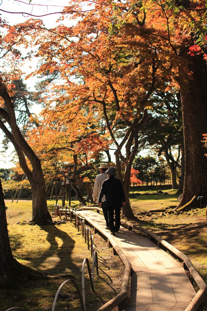 秋の庭園２
