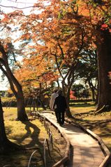 秋の庭園２