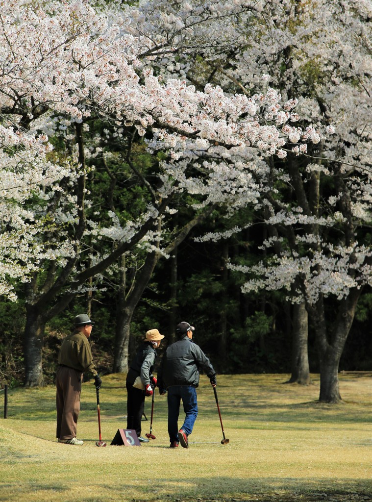人生、十分咲き