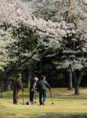 人生、十分咲き