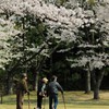 人生、十分咲き
