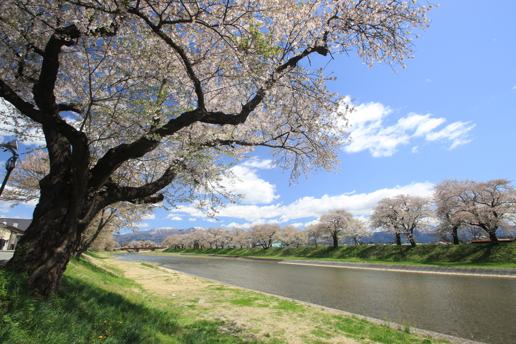 ５月３日