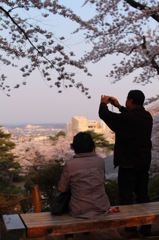 お花見デート