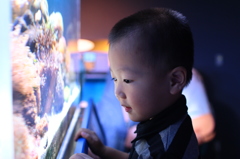 水族館