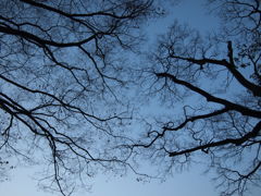 冷えていく空