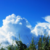 入道雲