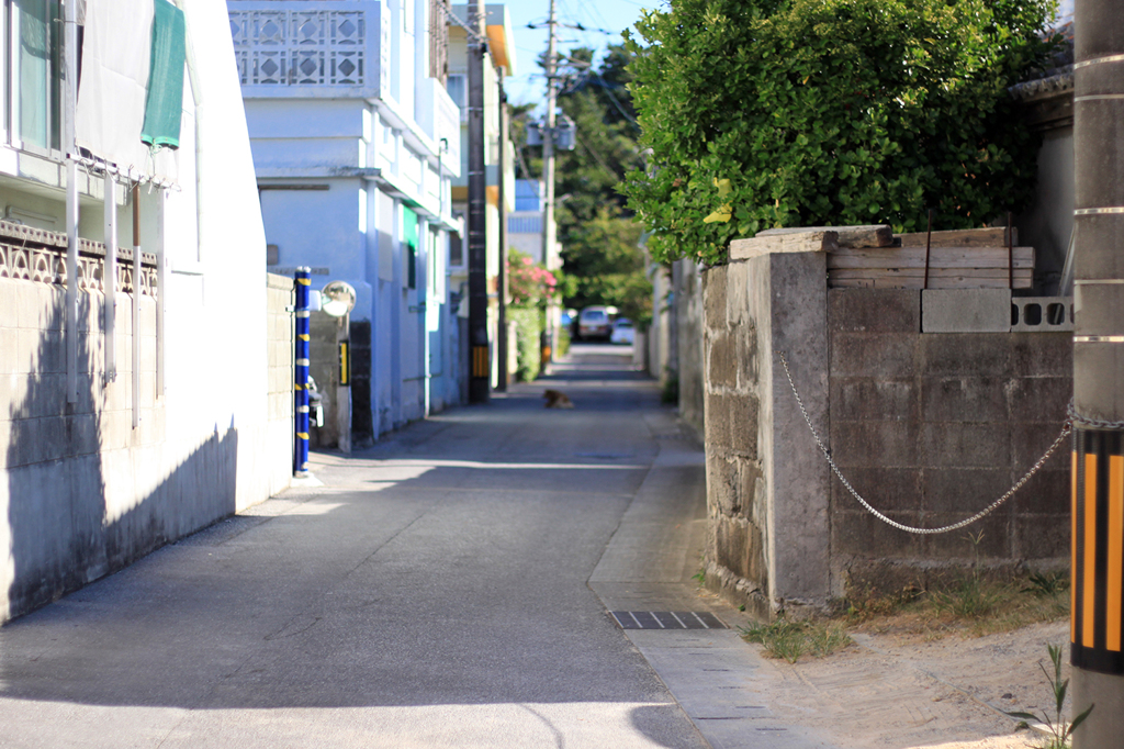 昔ながらの私道