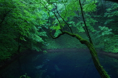 深浦　十二湖　他 005