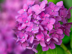 花でも・・・PART2