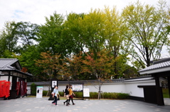 桜馬場