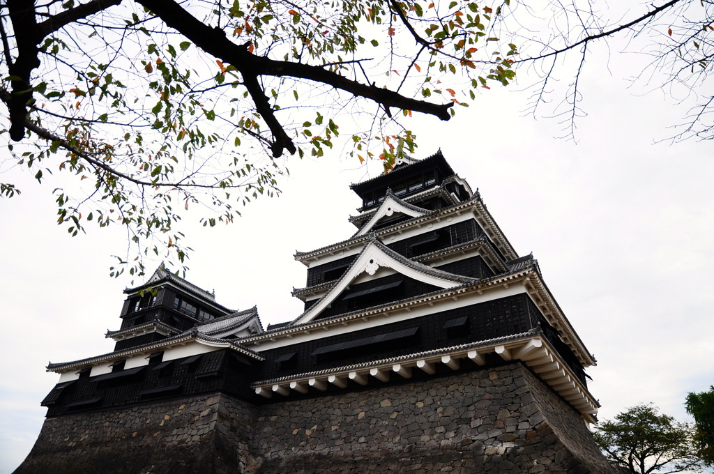 熊本城