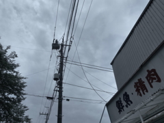 ７月３日の散歩4