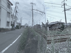 ７月３日の散歩7