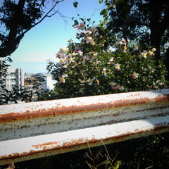 R0017092
