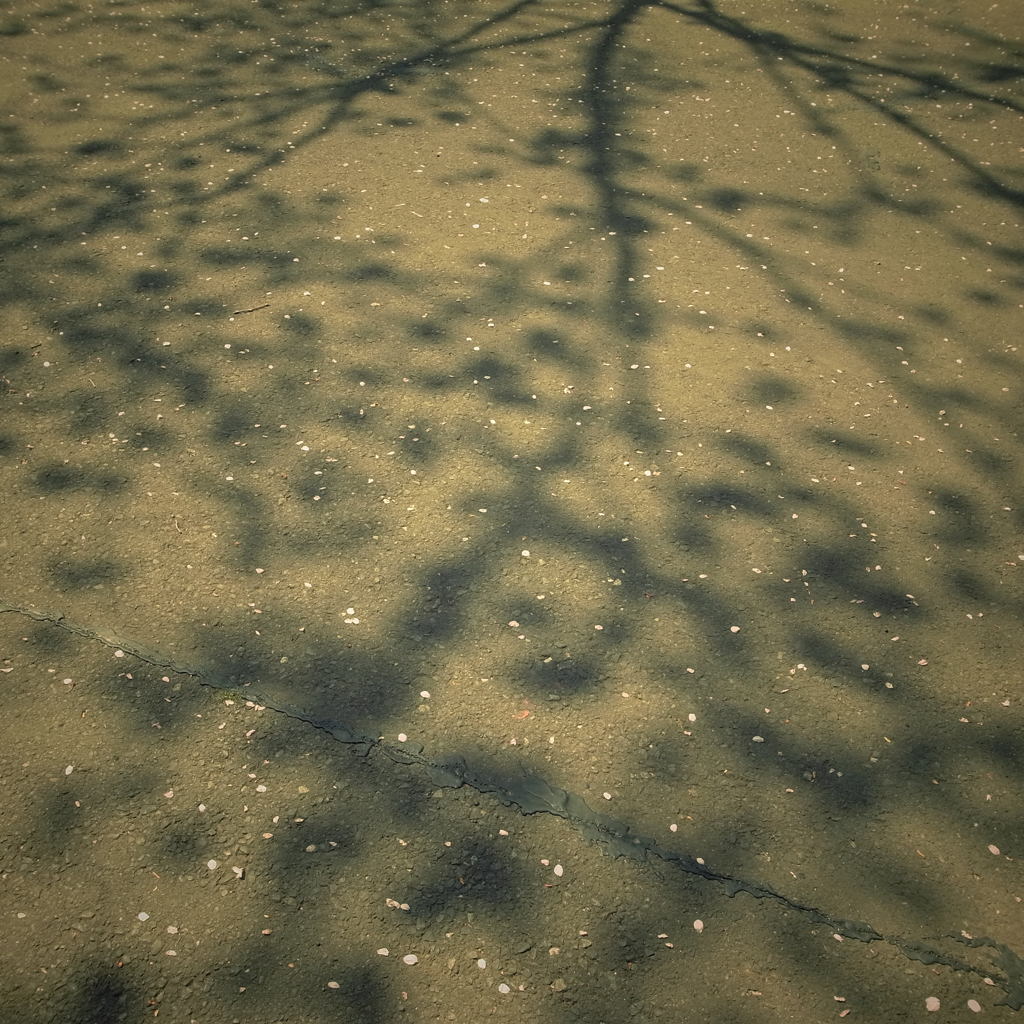 R0020234