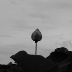 DSCF0217