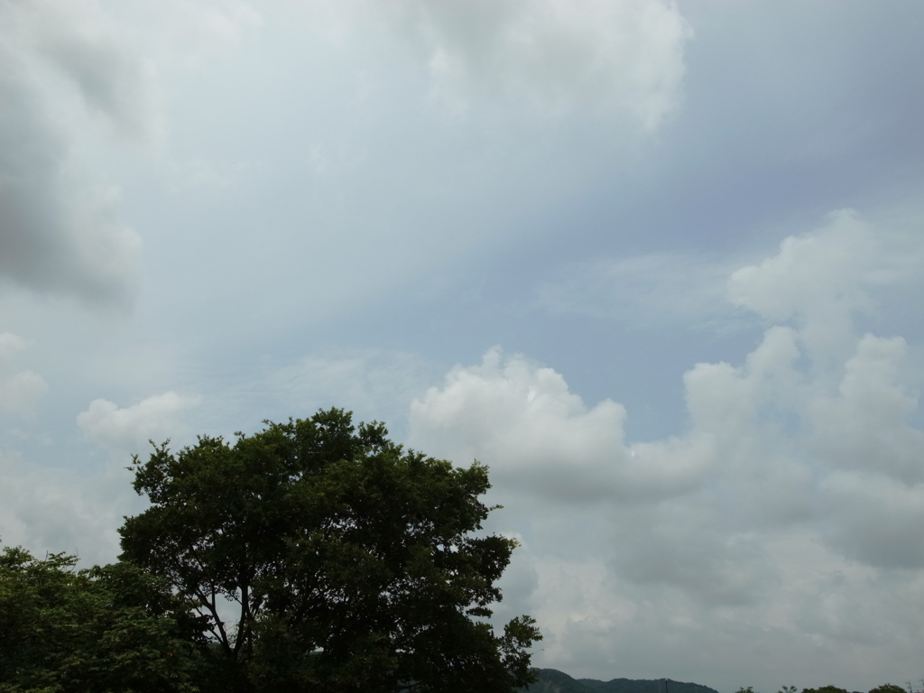 梅雨の晴れ間