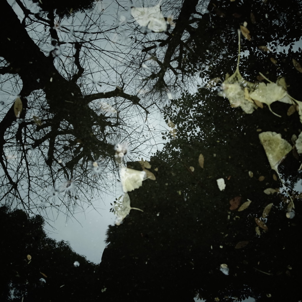 R0017818