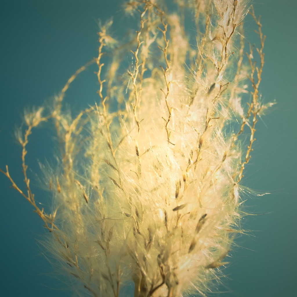 R0018118