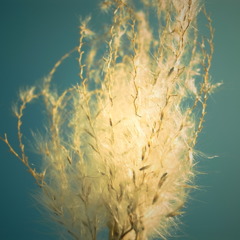 R0018118