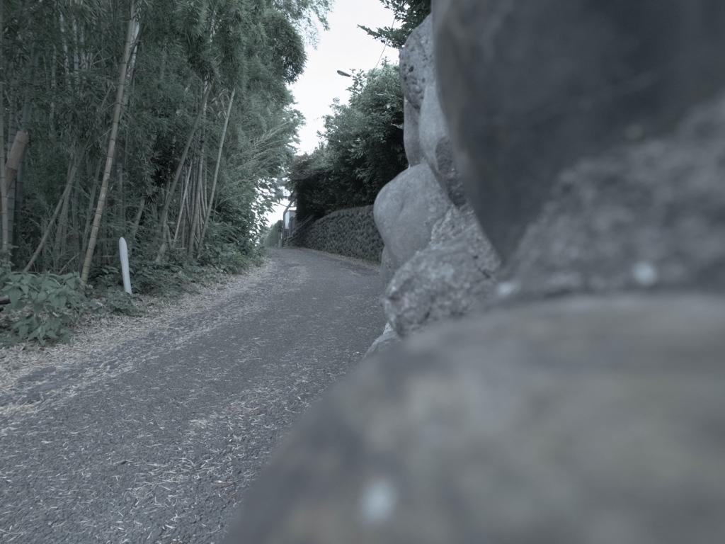 ７月３日の散歩29