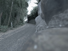 ７月３日の散歩29