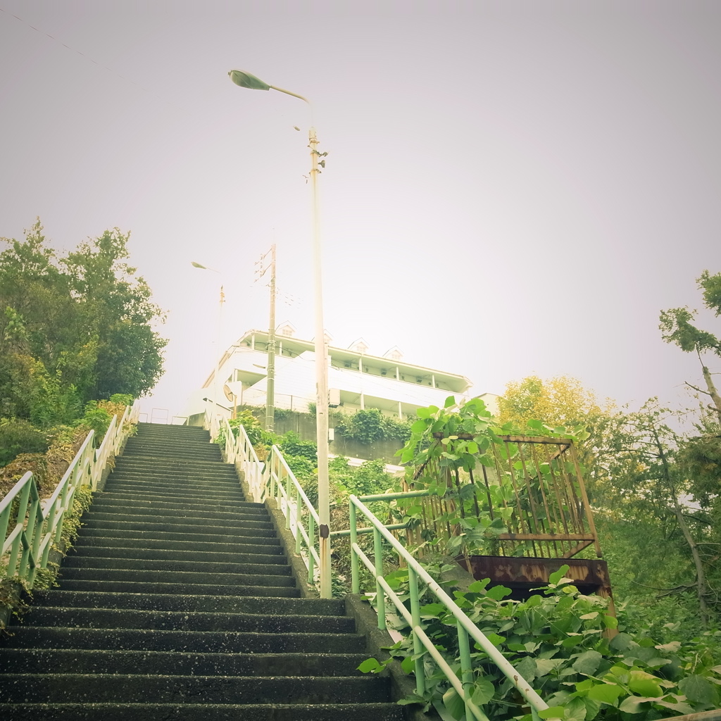 高台へ