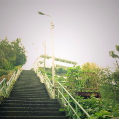 高台へ