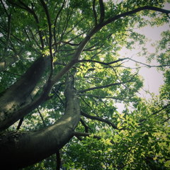 ぼくの憂鬱と天気→時々晴れ12