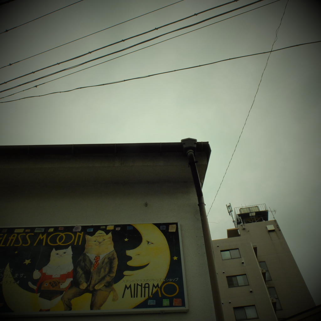 DSCF0081
