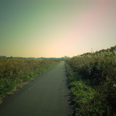 河川敷2