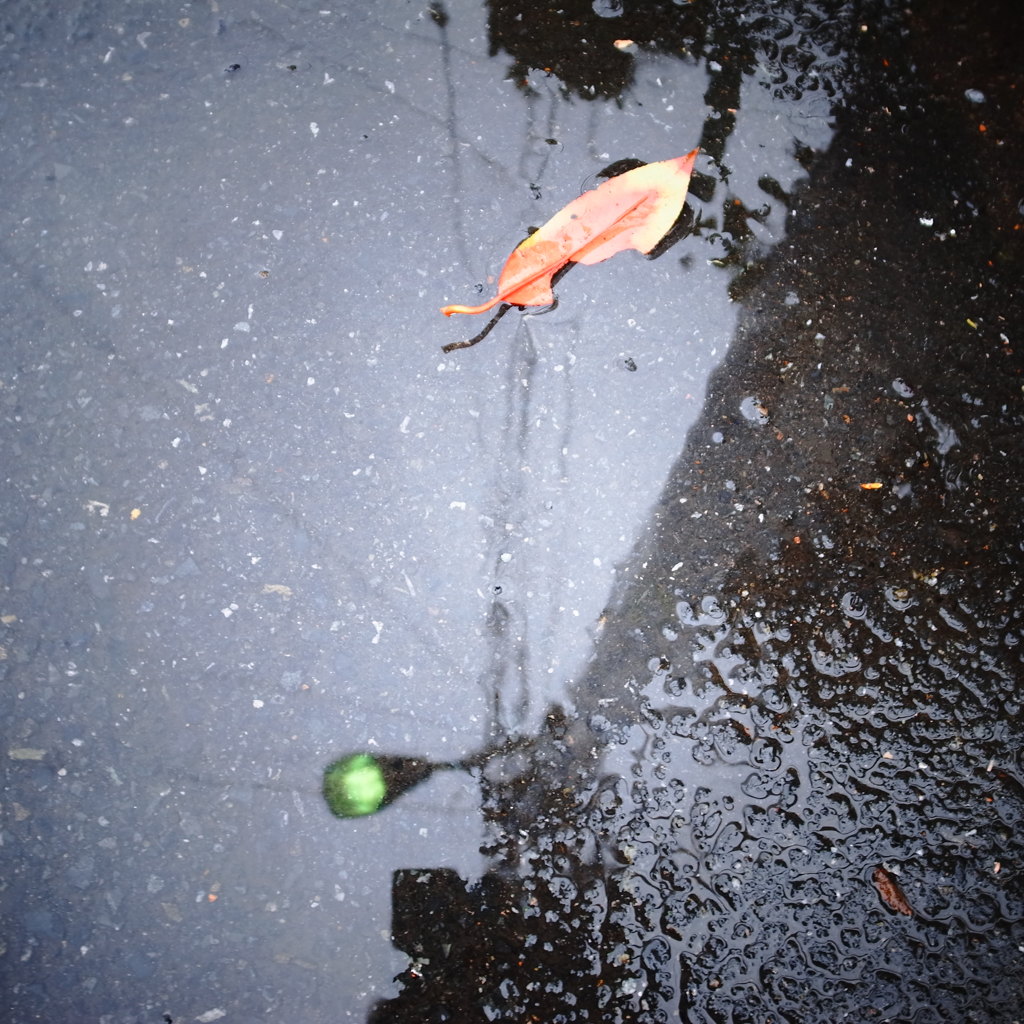 冬の雨