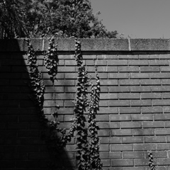 DSCF0186
