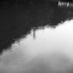 R0021639