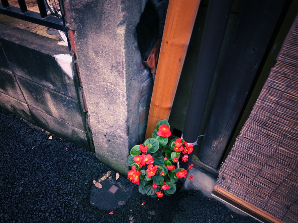 路地裏シリーズ3