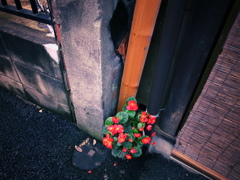 路地裏シリーズ3